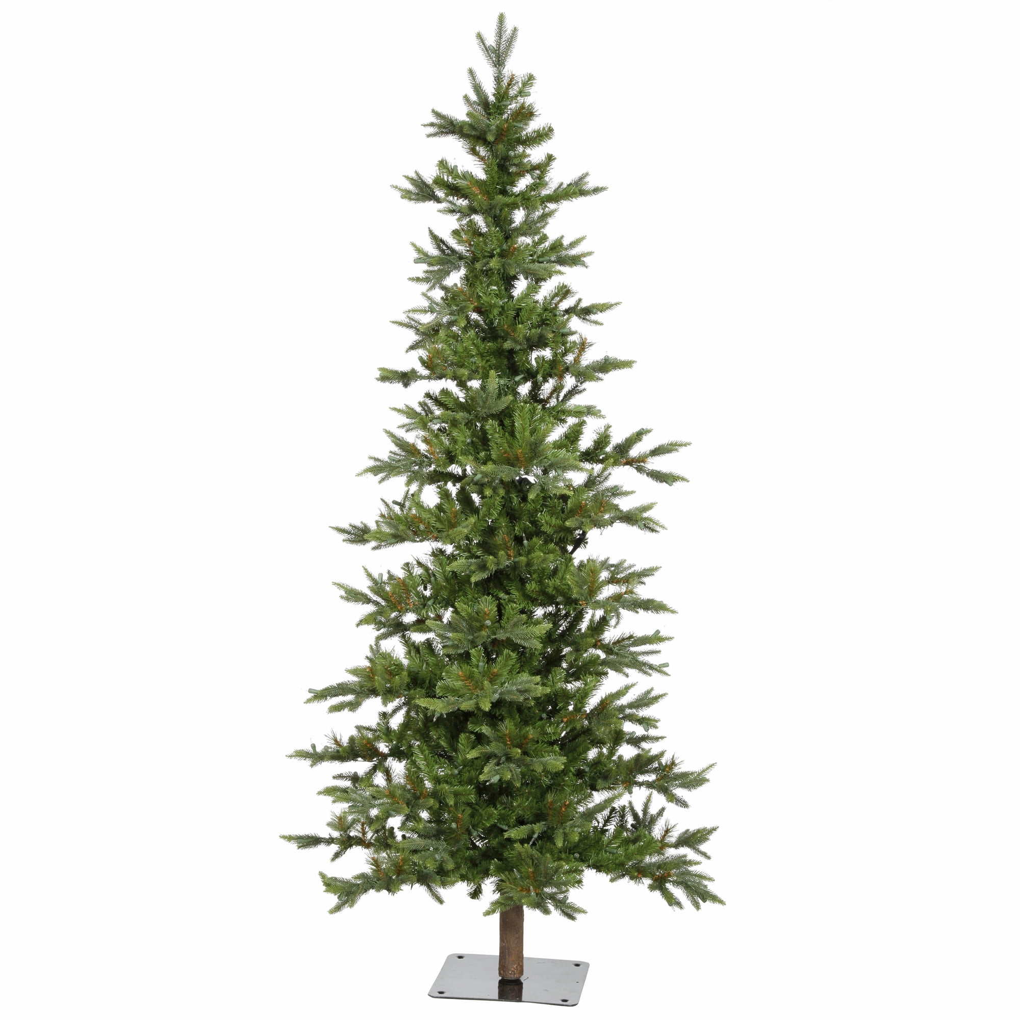 Vickerman 7' Shawnee Fir Artificial Christmas Tree, Unlit