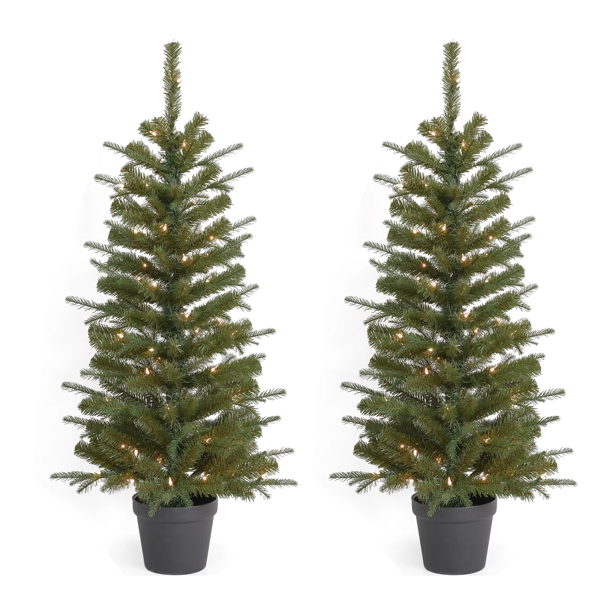 4ft Valley Pine Porch Tree (Set of 2) Each Tree is Pre-Lit with 50 UL Clear Lights by Seasonal LLC