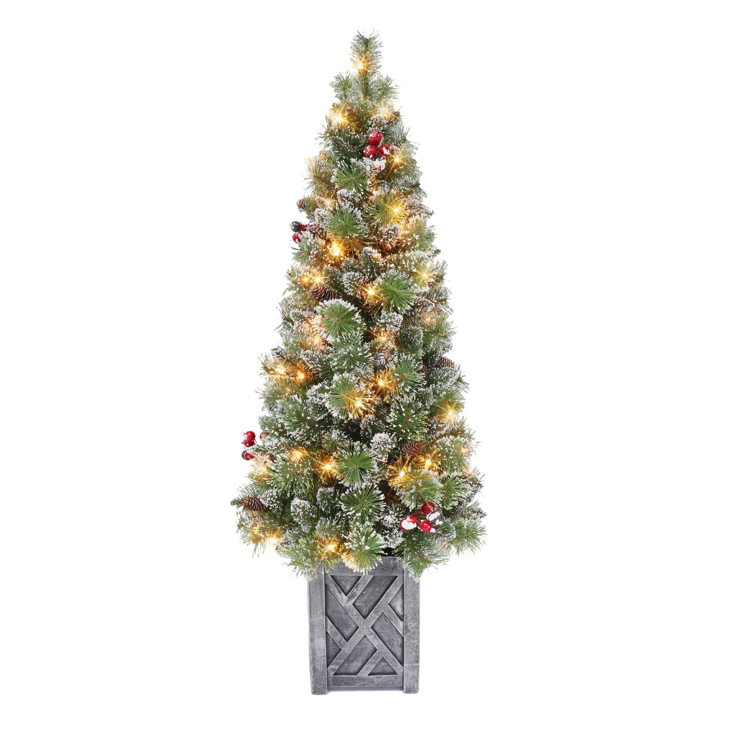 5 ft Pre-lit Potted Vancouver Pine Tree 288 Tips 70 UL Clear Incandescent Lights